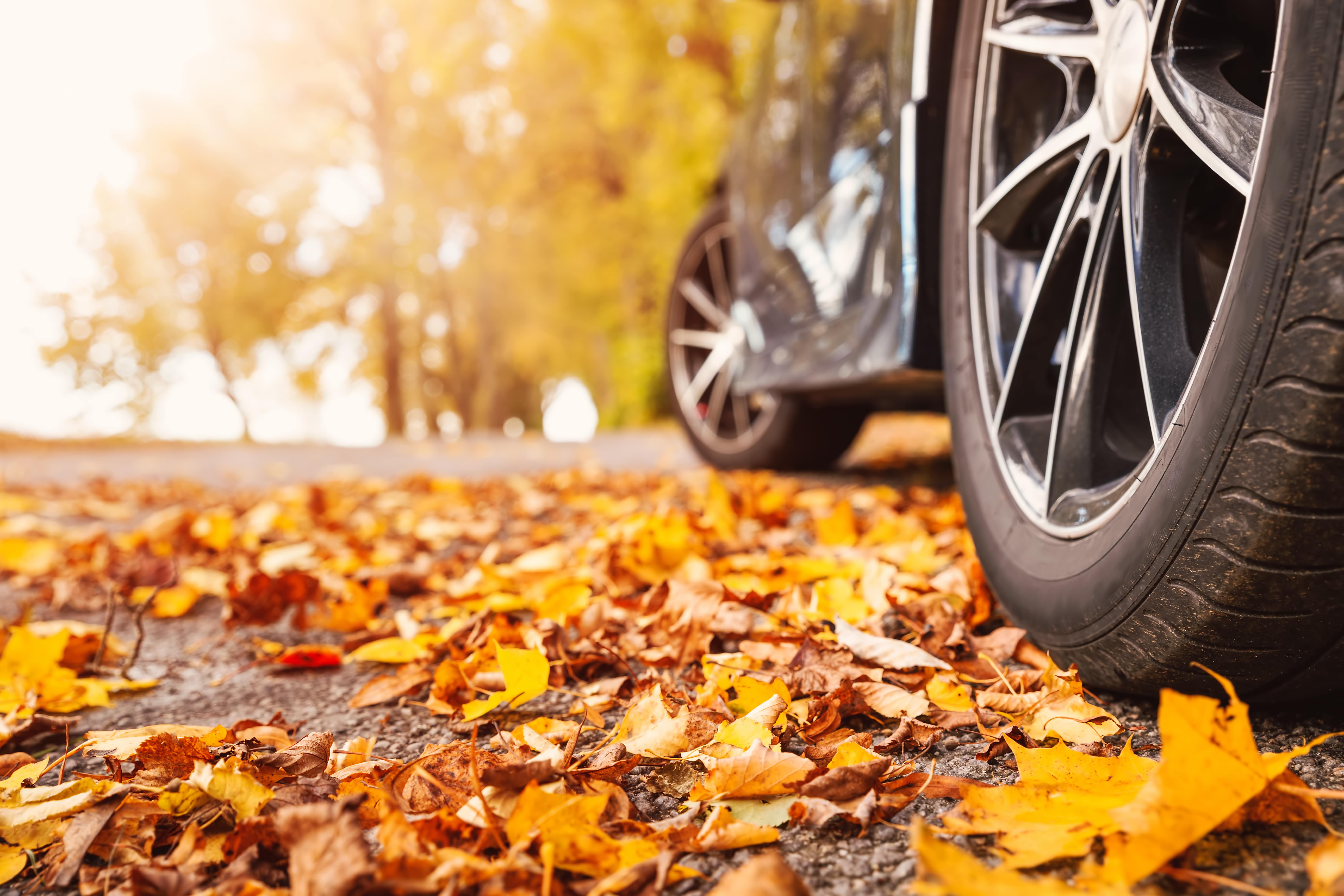 Saubere Fensterscheiben beschlagen weniger – Autofahren im Herbst